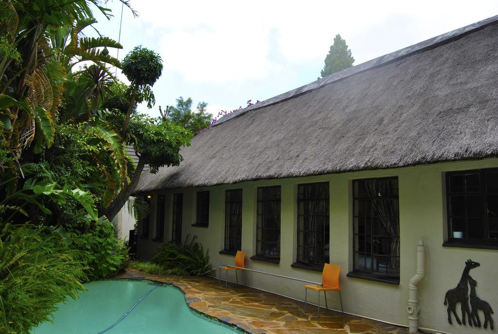 Birch Tree Cottage Johannesbourg Extérieur photo