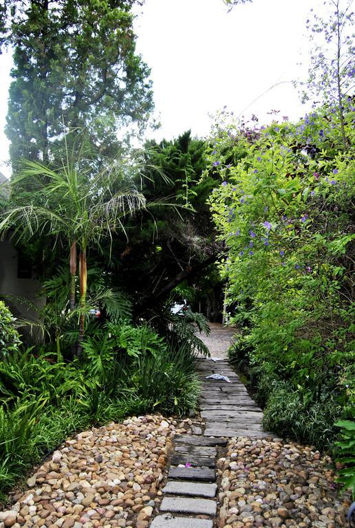 Birch Tree Cottage Johannesbourg Extérieur photo