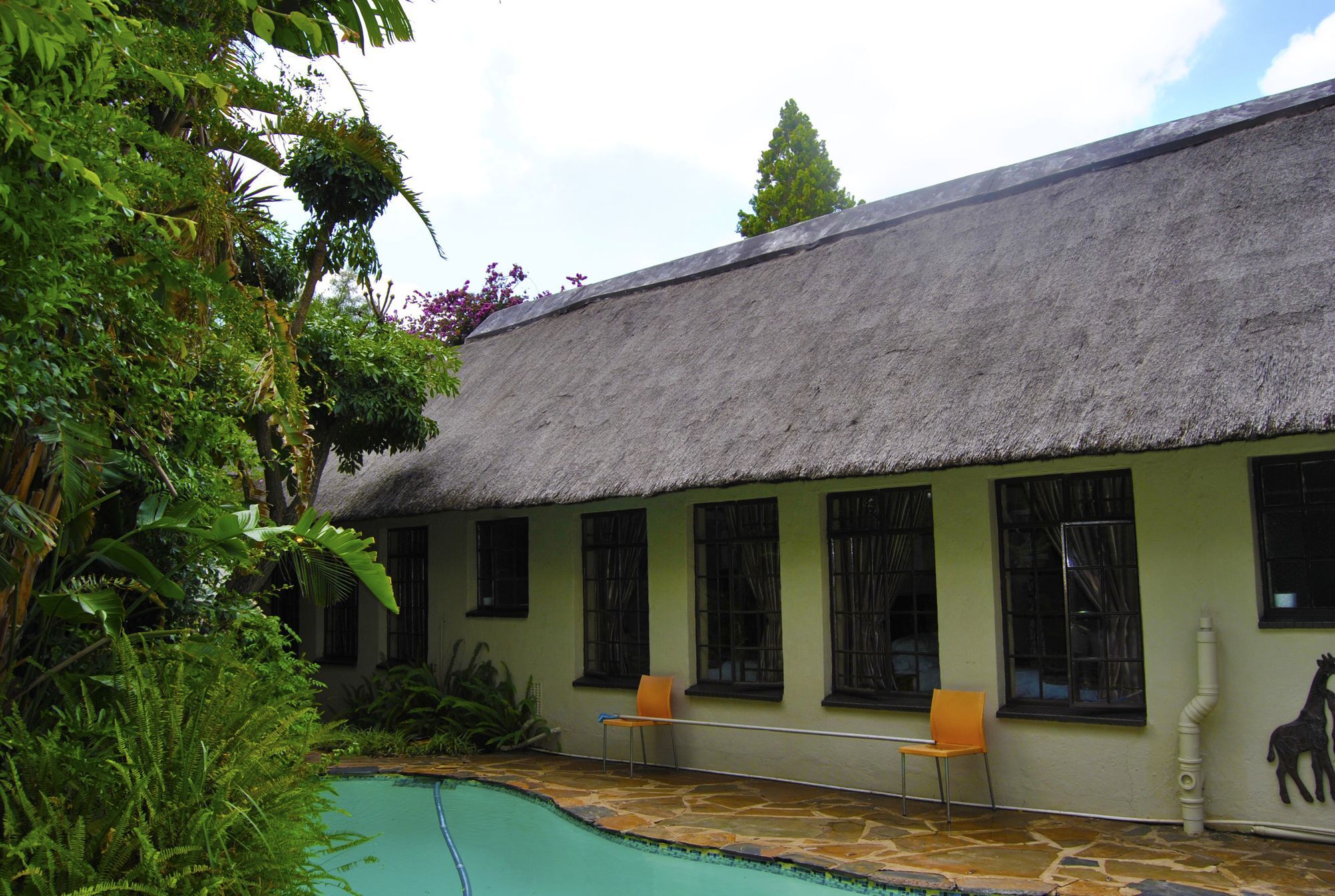 Birch Tree Cottage Johannesbourg Extérieur photo